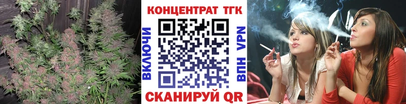 что такое Терек ссылка на мегу вход ТГК Wax